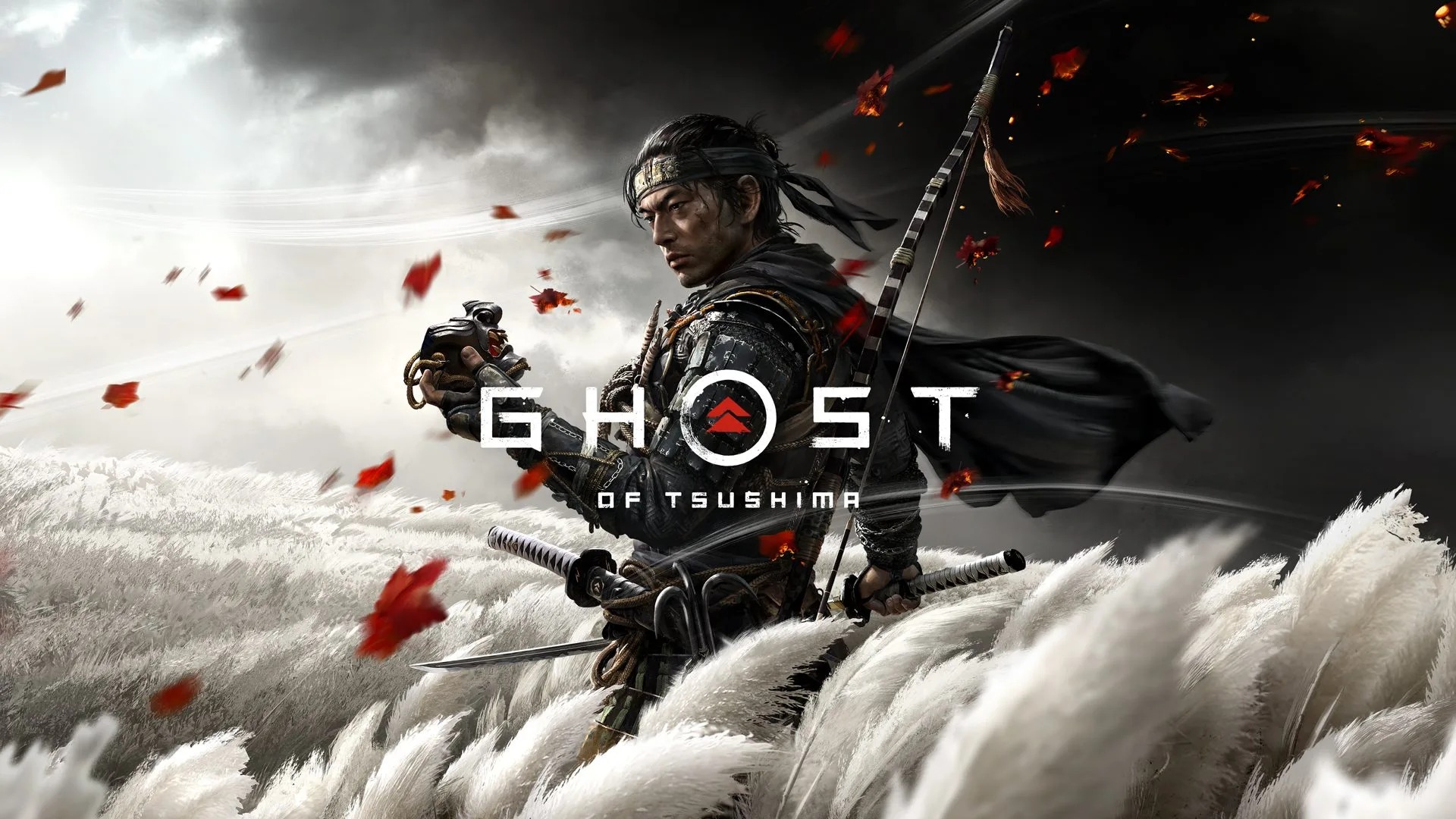 Ghost of Tsushima: Director's Cut Cover