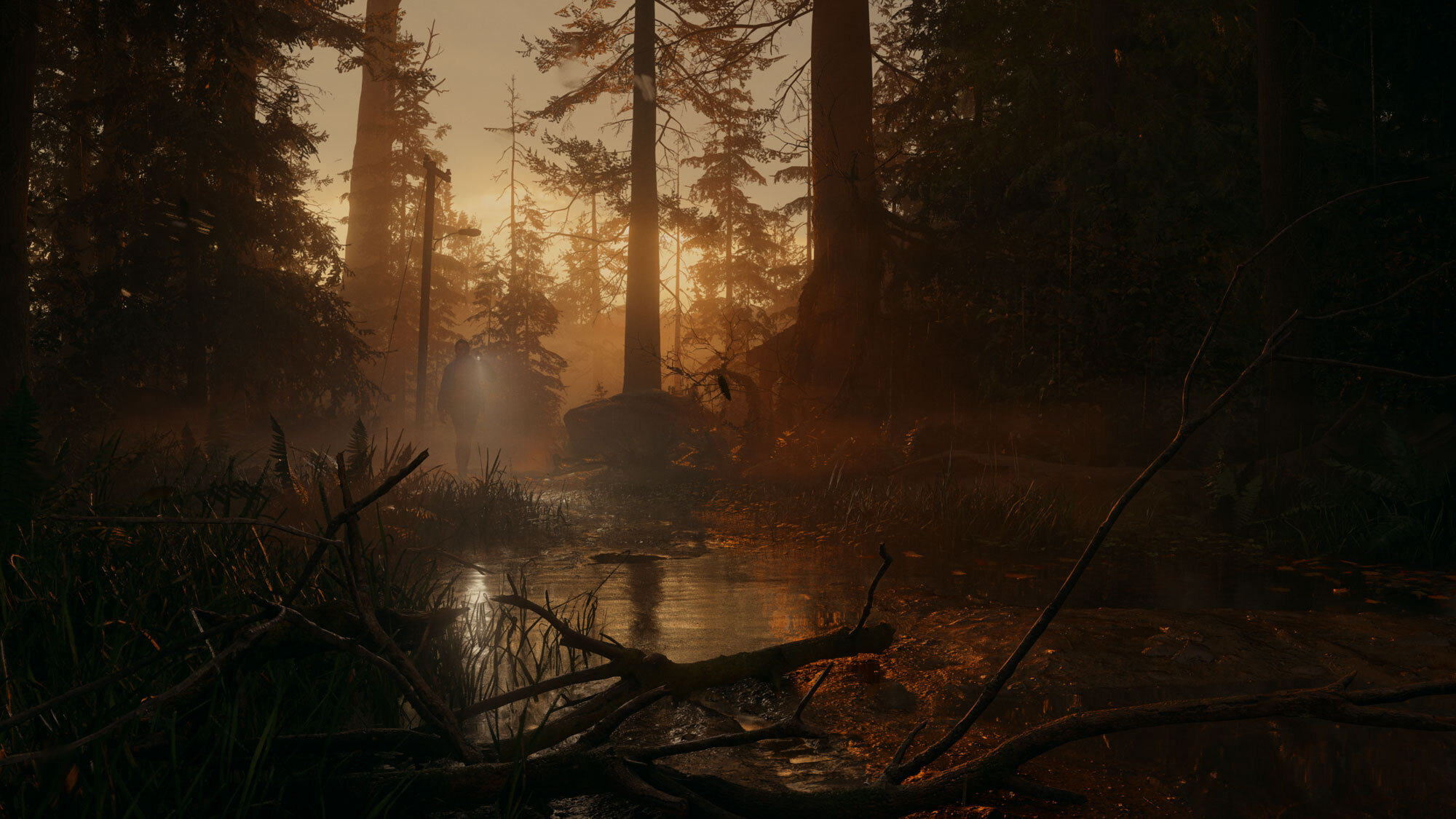 Alan Wake walking through a fog-shrouded forest at dusk, flashlight cutting the gloom